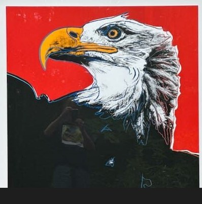 Andy Warhol — Bald Eagle, from Endangered Species | ShopPop Art