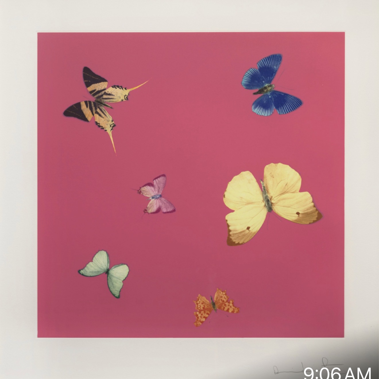 Damien Hirst Lullaby, from Love Poems
