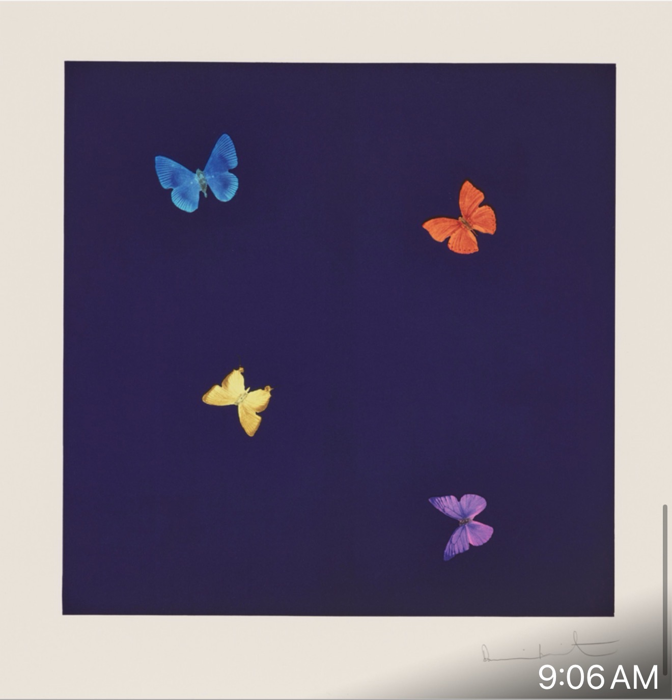 Damien Hirst To A Stranger, from Love Poems